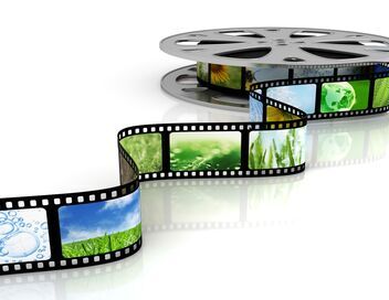 Les maîtres des algues