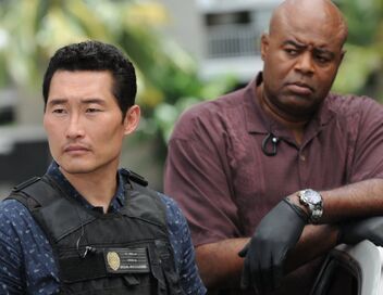 Hawaii 5-0