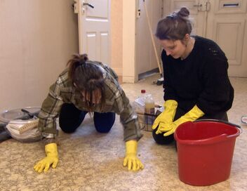 Cleaners les experts du ménage