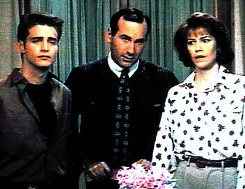Beverly Hills, 90210