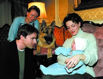 Rex, chien flic