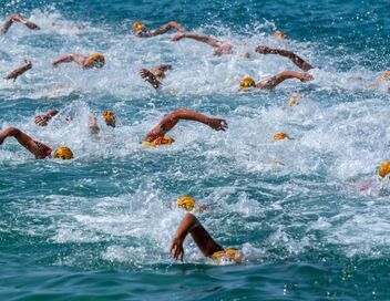 Triathlon : World Triathlon Series