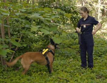 A l'école des pompiers