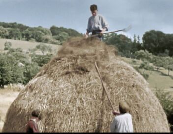 La France de l'entre-deux-guerres