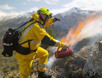 Bonnes nouvelles de la planète