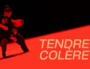 Suresnes cité danses, Tendre colère