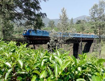 Sri Lanka, avec Rodrigo à bord du train bleu