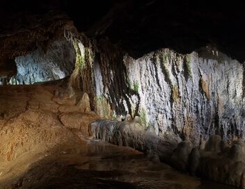 Ces microbes qui vous veulent du bien