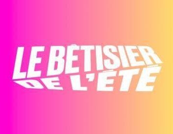 Le bêtisier de l'été