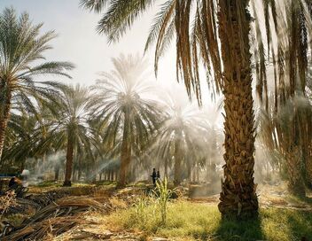 Tunisie, une oasis dans un grain de sable