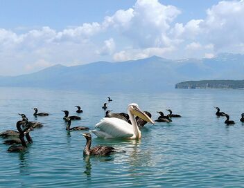 La beauté sauvage des Balkans