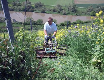 Des vignes et des hommes