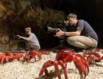 Une planète parfaite