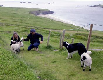 Aux quatre coins de l'Irlande