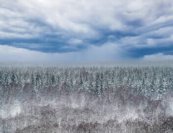 La taïga, royaume du froid