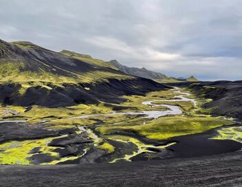 Islande, la quête des origines