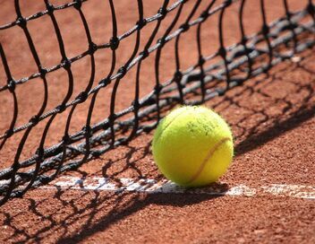 Tennis : Roland-Garros