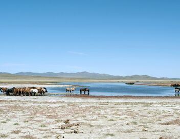 Chercheurs d'or en Mongolie : Une aventure est-allemande