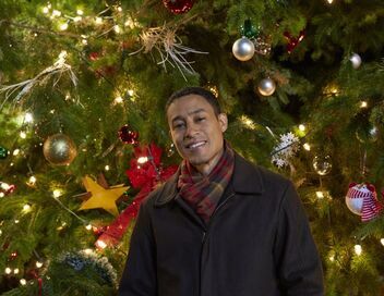 Un sapin de Noël, deux amoureux