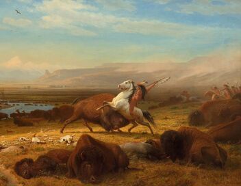 Bison : une histoire de l'Amérique
