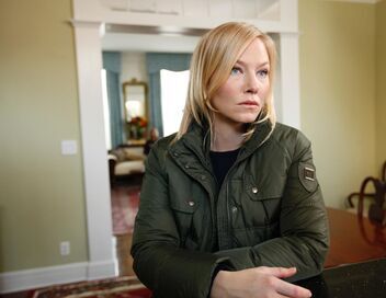 New York Unité Spéciale