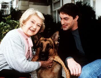 Rex, chien flic