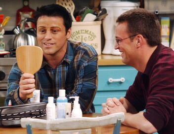 Friends
