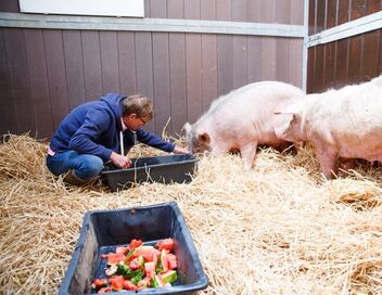 Dr Cath : Mission adoption