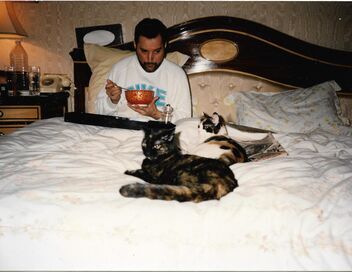 Freddie Mercury, une vie en 10 photos