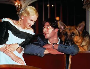 Rex, chien flic