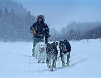 Le Yukon, fleuve glacé d'Amérique