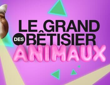 Le grand bêtisier des animaux