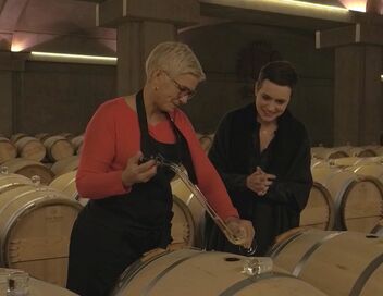 Les trésors des vignobles français