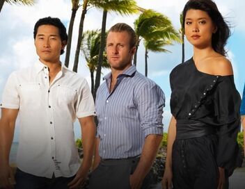 Hawaii 5-0