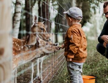 Le PAL : au coeur du zoo le plus insolite de France